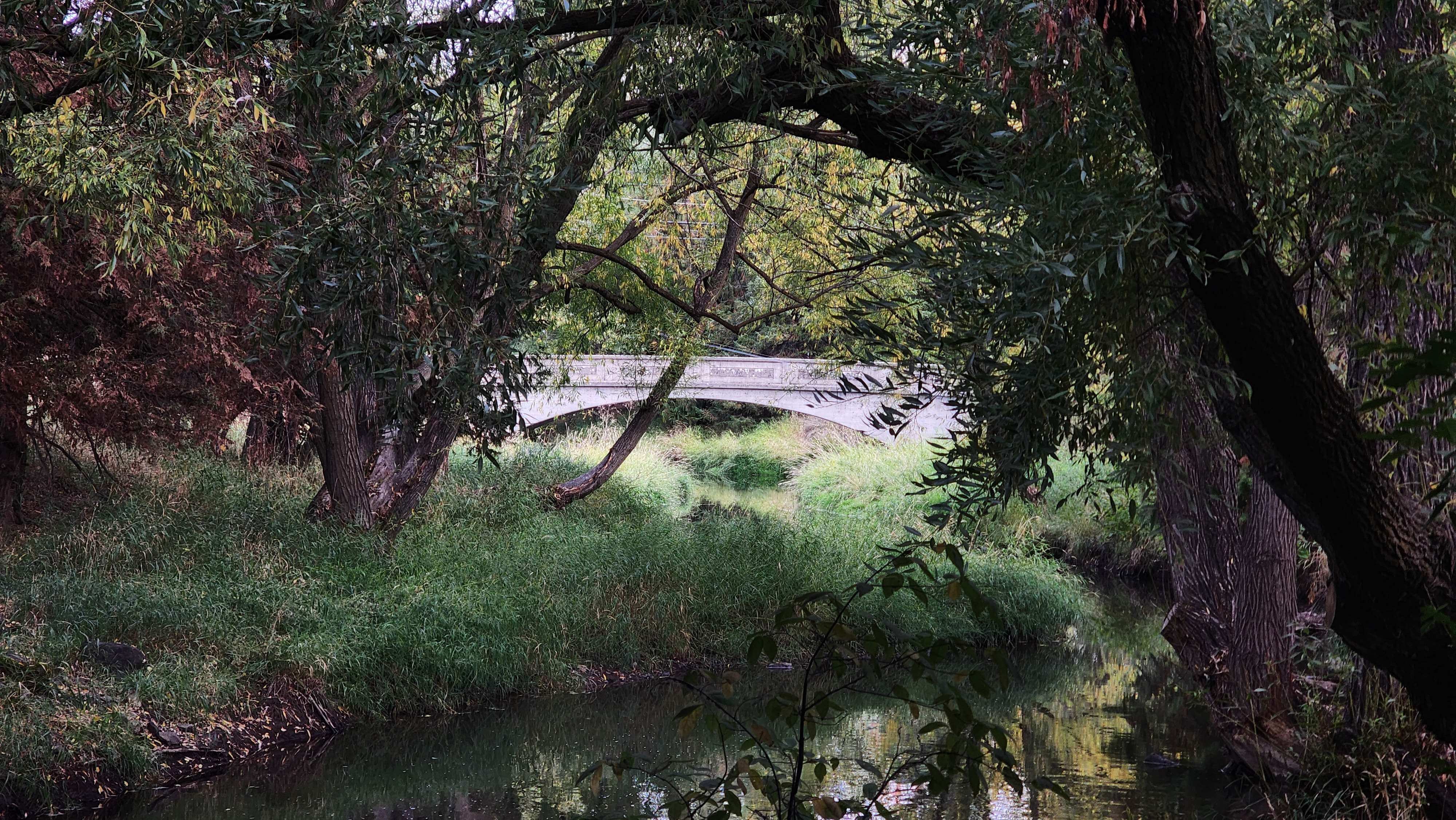 A picture of a bridge in Pullman Washington.