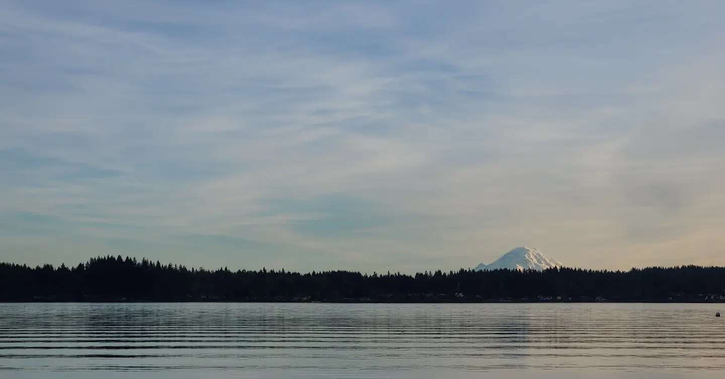 A picture of Mt. Rainier.