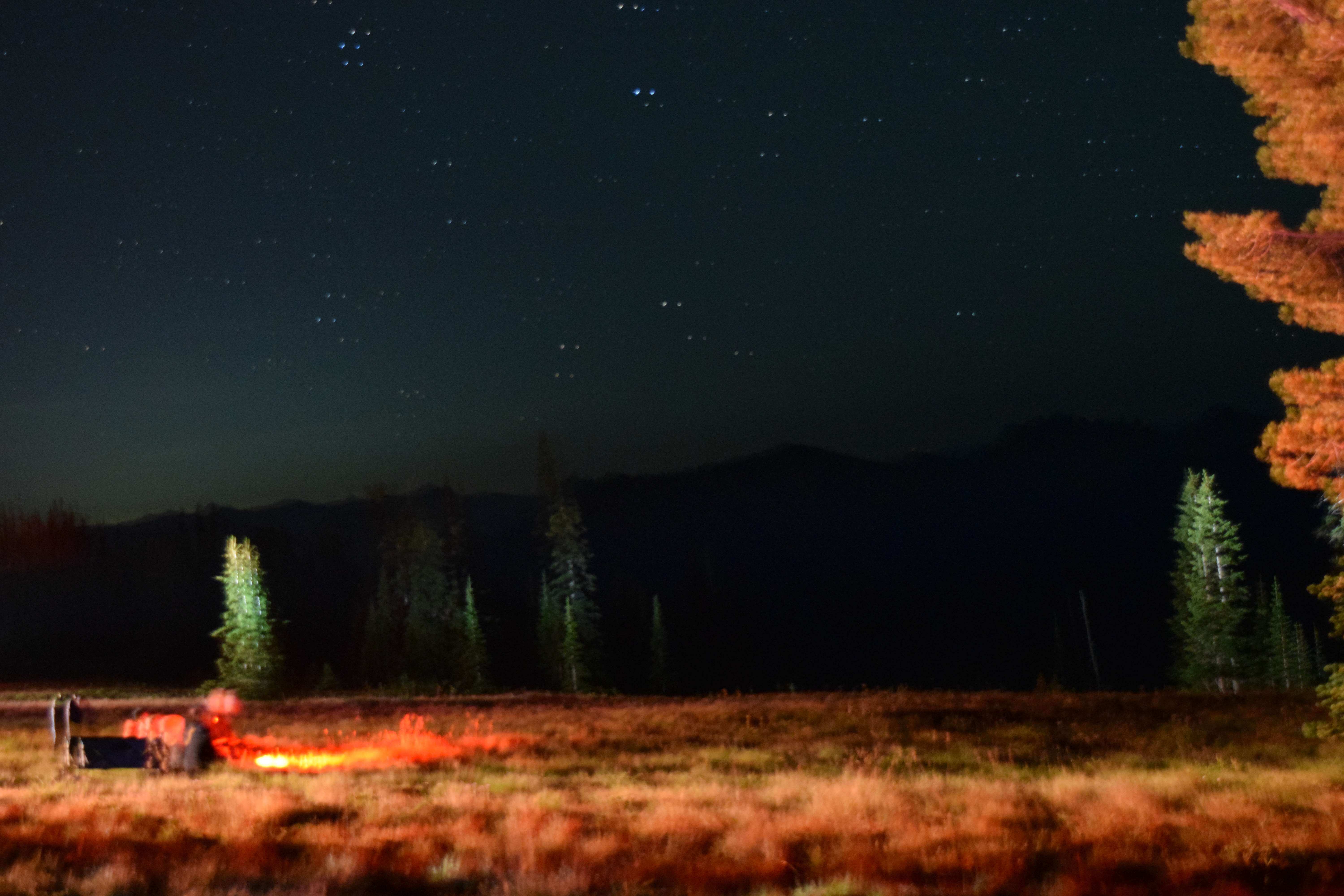 A picture of people stargazing.