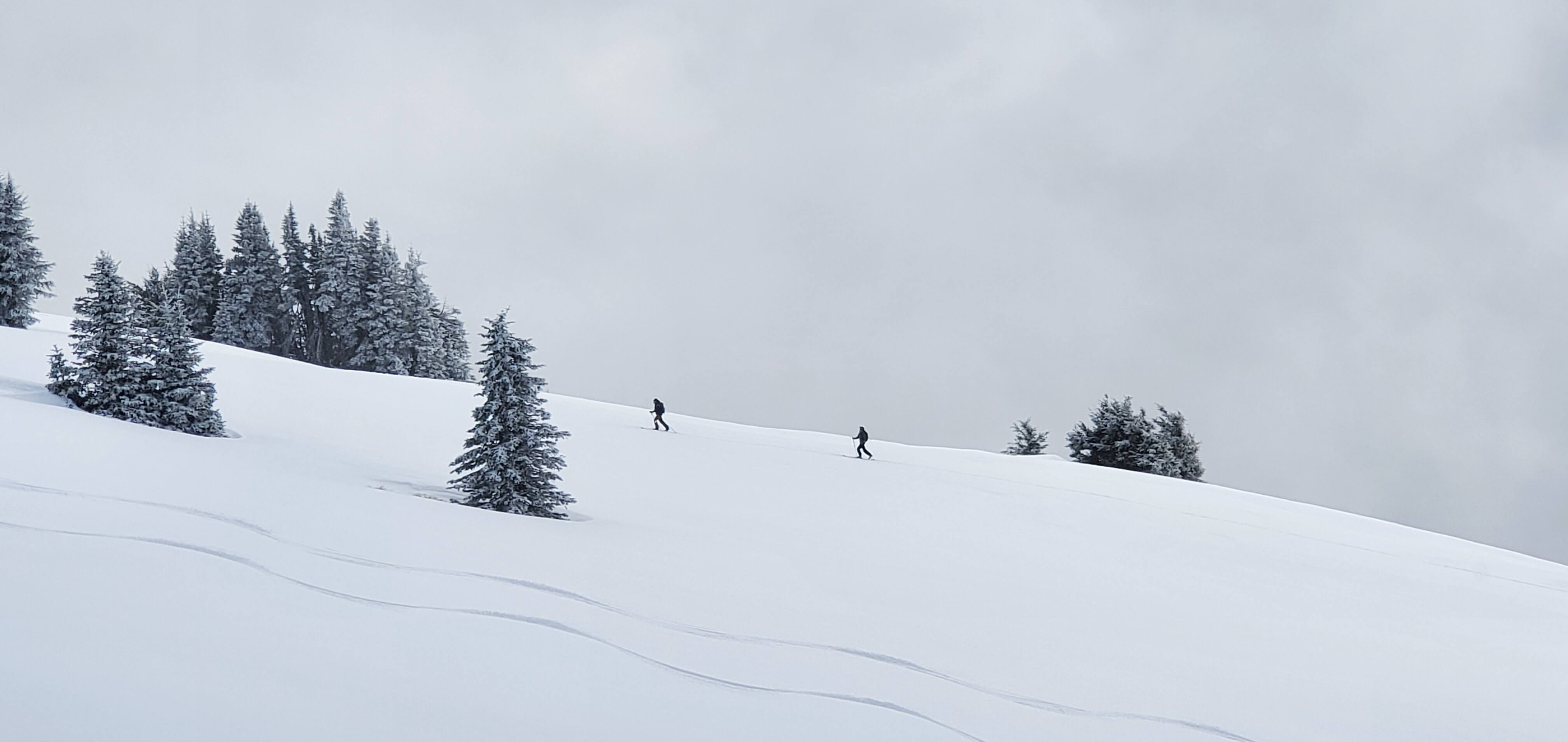 A picture of two hikers trudging up a snowy hill.