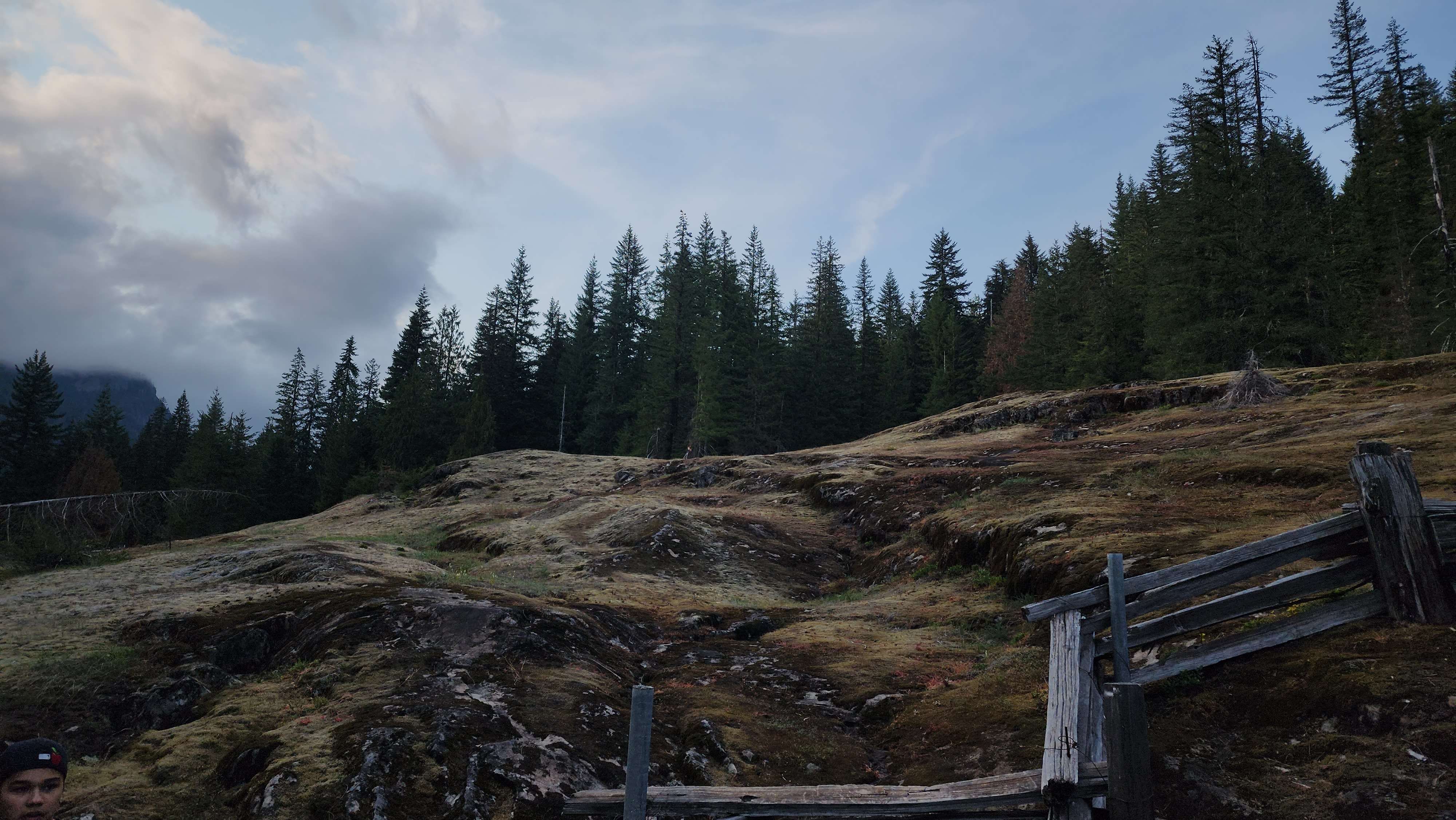 A picture of Mt. Rainiers landscape. Hilly area surronded by trees with a wooden fence at the bottom left.